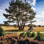 Met Privetuin Op Rustig Bospark Veluwe Voorthuizen