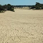 Met Privetuin Op Rustig Bospark Veluwe