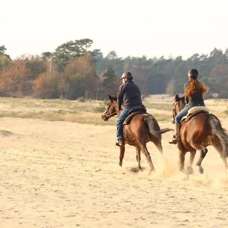 Hébergement de vacances Met Privetuin Op Rustig Bospark Veluwe