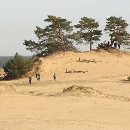 Op Rustig Bospark Veluwe Holiday home *