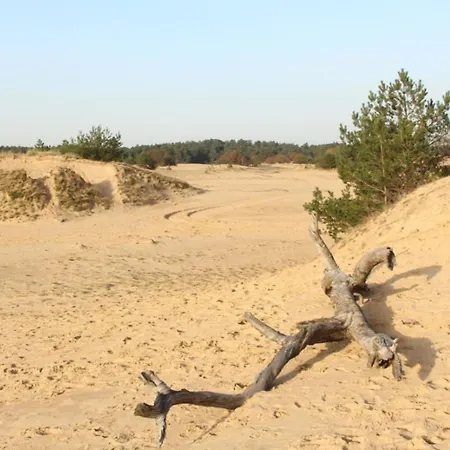 Met Privetuin Op Rustig Bospark Veluwe