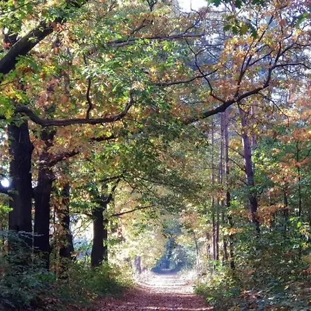 Hébergement de vacances Met Privetuin Op Rustig Bospark Veluwe