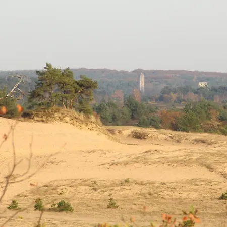 Met Privetuin Op Rustig Bospark Veluwe