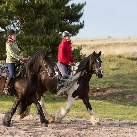 Op Rustig Bospark Veluwe Holiday home Voorthuizen