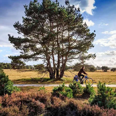 Met Privetuin Op Rustig Bospark Veluwe Voorthuizen