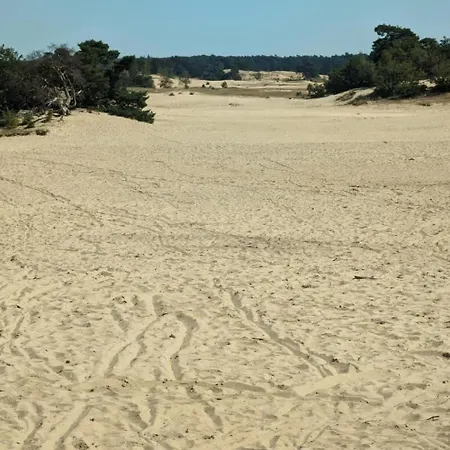 Met Privetuin Op Rustig Bospark Veluwe