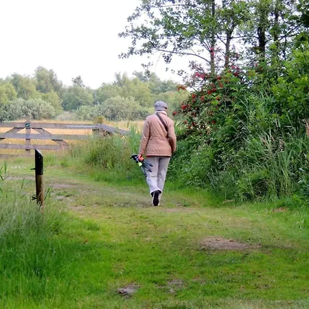 Met Privetuin Op Rustig Bospark Veluwe Feriehus Voorthuizen