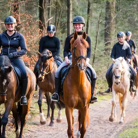 Hébergement de vacances Met Privetuin Op Rustig Bospark Veluwe Voorthuizen