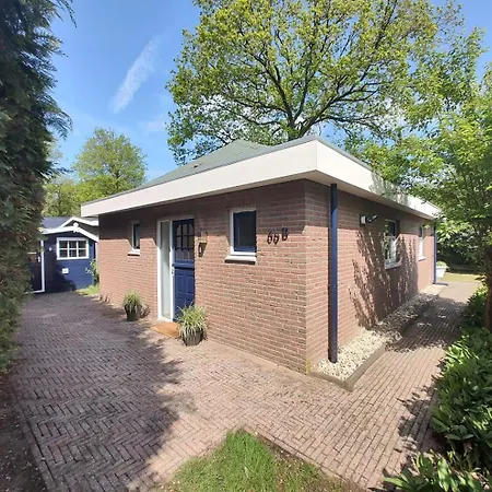 Met Privetuin Op Rustig Bospark Veluwe Voorthuizen