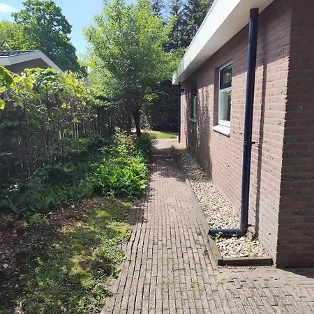 Met Privetuin Op Rustig Bospark Veluwe