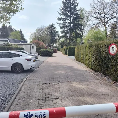 Met Privetuin Op Rustig Bospark Veluwe Voorthuizen