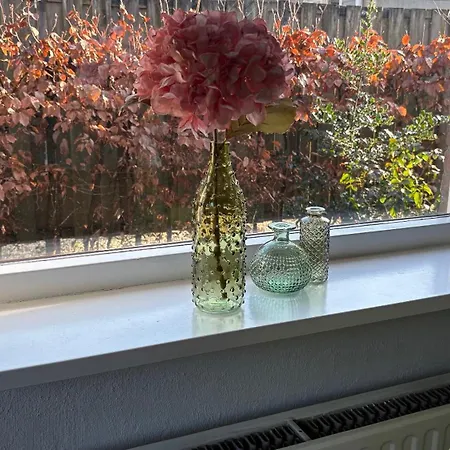 Dom wakacyjny Met Privetuin Op Rustig Bospark Veluwe Voorthuizen