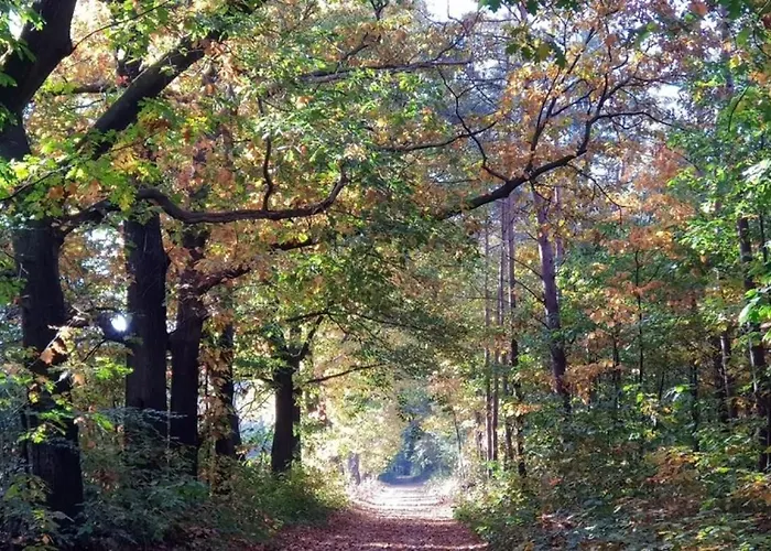 度假居 Met Privetuin Op Rustig Bospark Veluwe