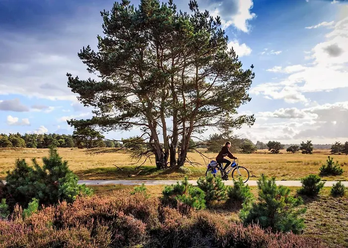 Met Privetuin Op Rustig Bospark Veluwe Voorthuizen