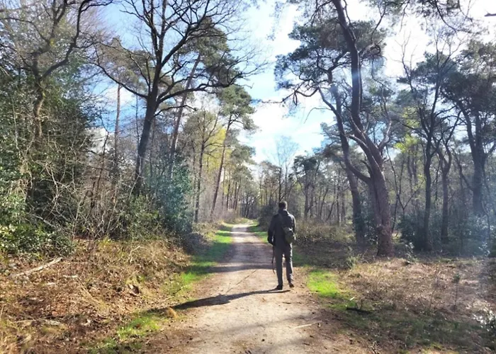 Met Privetuin Op Rustig Bospark Veluwe Dom wakacyjny *
