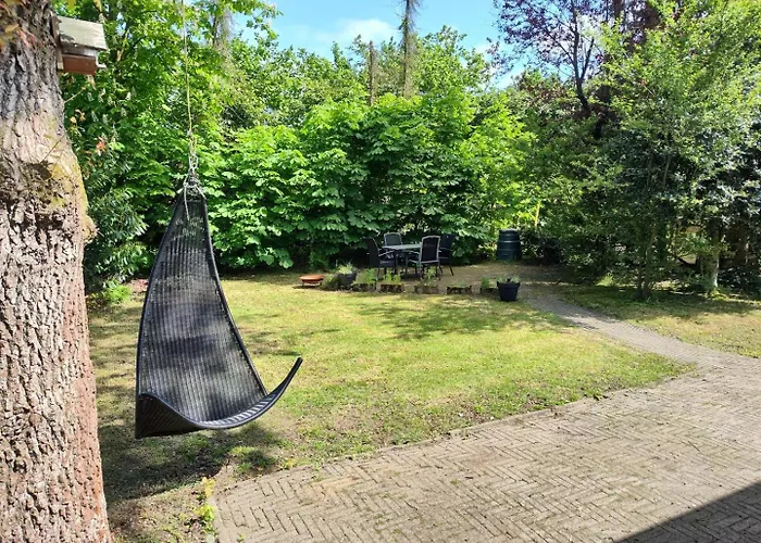 Met Privetuin Op Rustig Bospark Veluwe