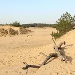 Met Privetuin Op Rustig Bospark Veluwe