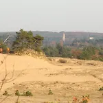 Met Privetuin Op Rustig Bospark Veluwe