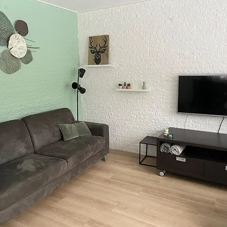 Met Privetuin Op Rustig Bospark Veluwe Feriehus