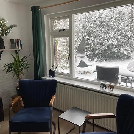 Met Privetuin Op Rustig Bospark Veluwe Nyaraló Voorthuizen