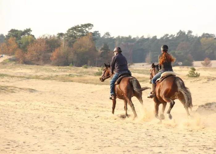 Feriehus Met Privetuin Op Rustig Bospark Veluwe