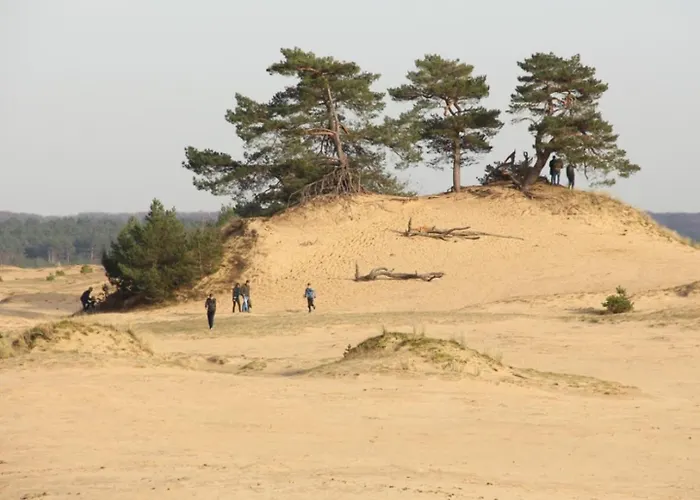 Met Privetuin Op Rustig Bospark Veluwe Feriehus *