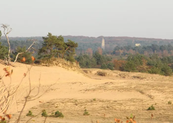 Met Privetuin Op Rustig Bospark Veluwe