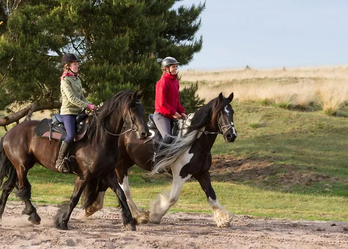 Met Privetuin Op Rustig Bospark Veluwe Feriehus Voorthuizen