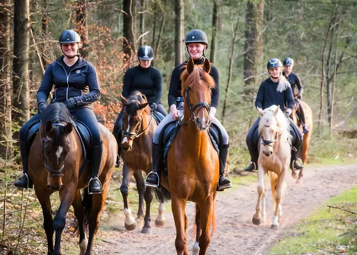 Feriehus Met Privetuin Op Rustig Bospark Veluwe Voorthuizen