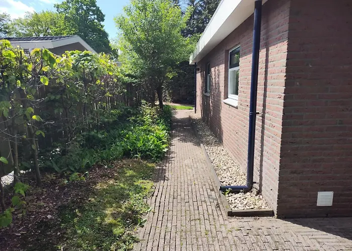 Met Privetuin Op Rustig Bospark Veluwe