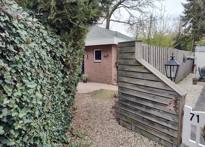 Met Privetuin Op Rustig Bospark Veluwe *