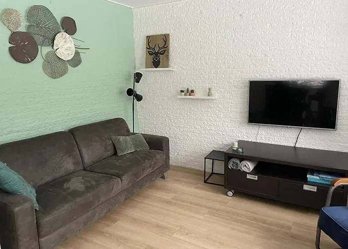 Met Privetuin Op Rustig Bospark Veluwe Feriehus