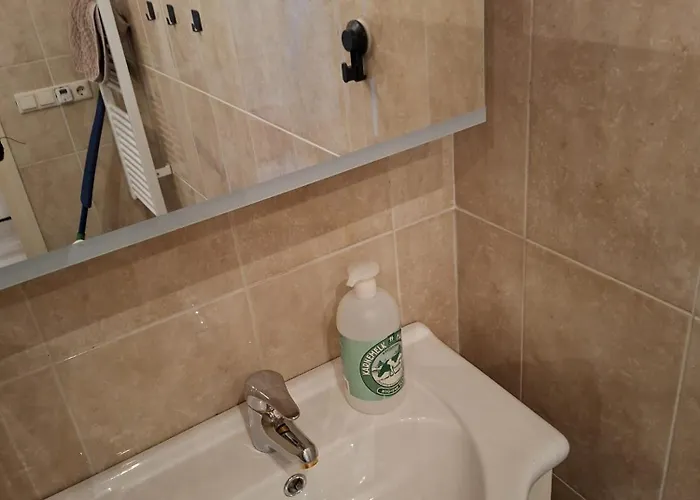 Feriehus Met Privetuin Op Rustig Bospark Veluwe