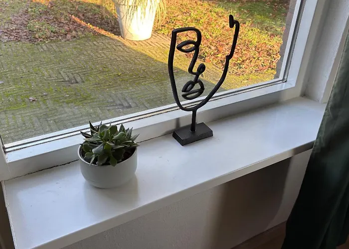 Met Privetuin Op Rustig Bospark Veluwe