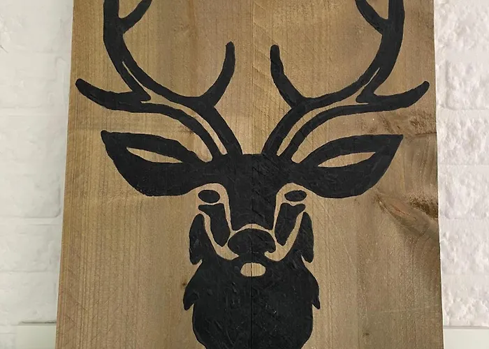 Met Privetuin Op Rustig Bospark Veluwe Voorthuizen